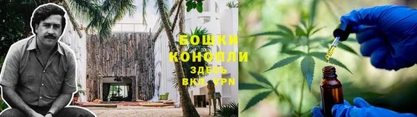 ПСИЛОЦИБИНОВЫЕ ГРИБЫ Строитель