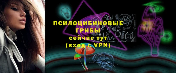 ПСИЛОЦИБИНОВЫЕ ГРИБЫ Строитель