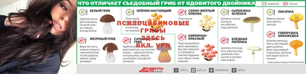 ПСИЛОЦИБИНОВЫЕ ГРИБЫ Строитель
