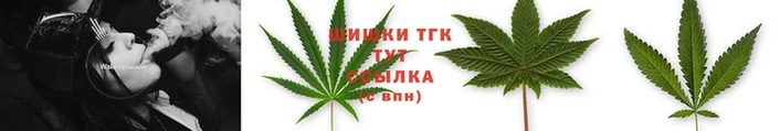 ПСИЛОЦИБИНОВЫЕ ГРИБЫ Строитель