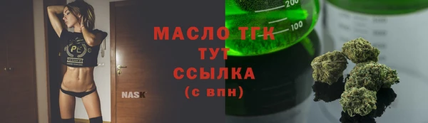 ПСИЛОЦИБИНОВЫЕ ГРИБЫ Строитель