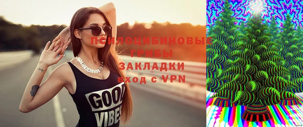 ПСИЛОЦИБИНОВЫЕ ГРИБЫ Строитель