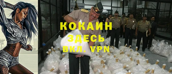 прущие грибы Сясьстрой