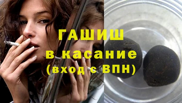 прущие грибы Сясьстрой