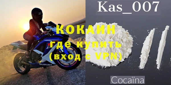 ПСИЛОЦИБИНОВЫЕ ГРИБЫ Строитель